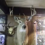 Todd DeYoung - @deyoung.todd - Instagram
