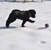 Todd Dibble - Facebook
