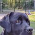 Todd Dibble - Facebook