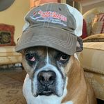 Todd Dion - @todd.dion - Instagram