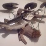 Todd Doane - @doanetodd - Instagram