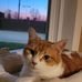 Todd Dobbs - Facebook