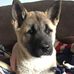 Todd Dodson - Facebook