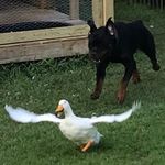 Todd Donahue - @toddyd123 - Instagram