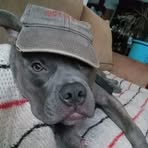 Todd Downey - Facebook
