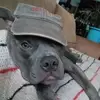todddowney19 - @todddowney19 - TikTok