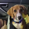 todddowney742 - @todddowney742 - TikTok