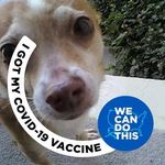 Todd Occupy Downing - @todd.o.downing - Instagram