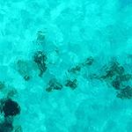 Todd Duffy - @imrflyinhawaian - Instagram