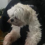 Todd Dupuis - @todddupuis - Instagram