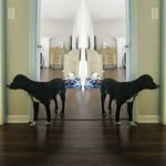 Todd Durham - @todd.durham.37 - Instagram