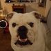 Todd Eason - Facebook