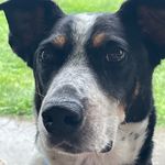 Todd Eberle - @madatunow - Instagram