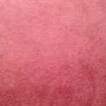 @toddebner - Instagram