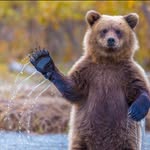 Yakriver Yeti - @todd_edgar - Instagram