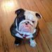 Todd Eichelberger - Facebook