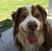 Todd Eisenhour - Facebook