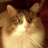 toddelder728 - @toddelder728 - TikTok