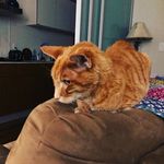Todd Eldridge - @toddeldr - Instagram