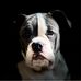 Todd Ellingson - Facebook