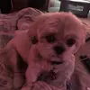 toddie E - @todd_ellingson69 - TikTok