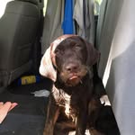 Todd Emmert - @todd.emmert.3 - Instagram
