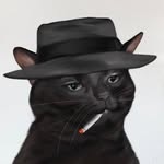 A Nihilistic Fox - @todd_engels - Instagram