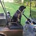 Todd Englehart - Facebook