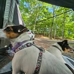 Todd Englert - @overeasy70 - Instagram