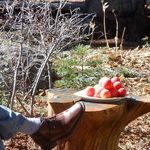Todd Englert - @toddsoftruckee - Instagram