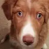 Todd Hesson - @toddhesson0 - TikTok