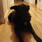 Todd Everson - @toddmeverson - Instagram