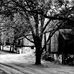 Todd Paul Evers - Facebook