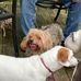 Todd Ebberts - Facebook