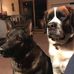 Todd Farr - Facebook