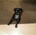 Todd Kevin Fike - Facebook