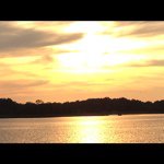 todd finley - @todd.vgt.finley - Instagram