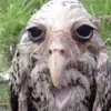 toddfinley449 - @toddfinley449 - TikTok