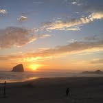Todd Flannery - @flannman66 - Instagram