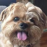 Todd Fleckenstein - @fleckensteintodd - Instagram