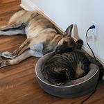 Todd Floyd - @caybry - Instagram