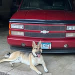 Todd Folkerts - @toddfolkerts - Instagram