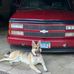 Todd Folkerts - Facebook