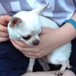 Todd - @_.toddforrester._ - Instagram