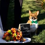 Todd Fox - @toddfox1020 - Instagram