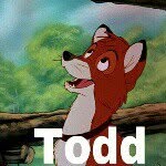 Todd the fox - @todd_fox_ - Instagram