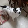 ToddFox - @toddfox1323 - TikTok