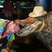 Todd Fredericksen - Facebook