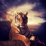 Todd Fulton - @toddfulton7 - Instagram
