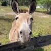 toddfulton646 - @toddfulton646 - TikTok